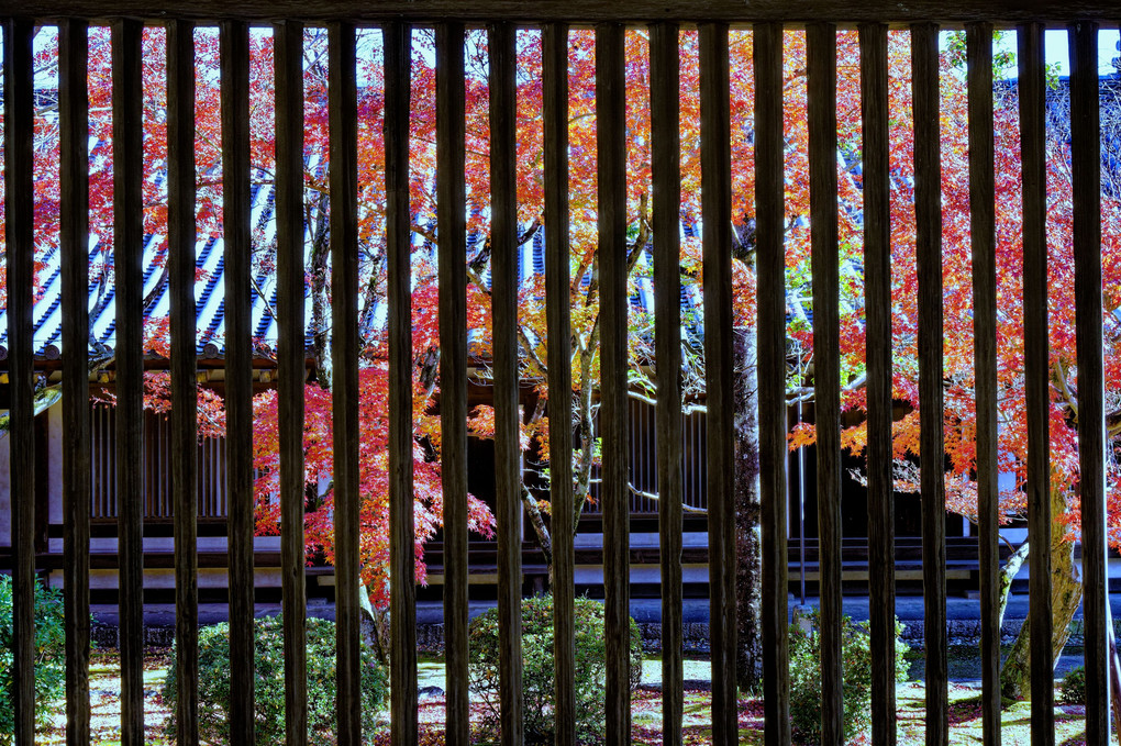 斑鳩法隆寺の秋
