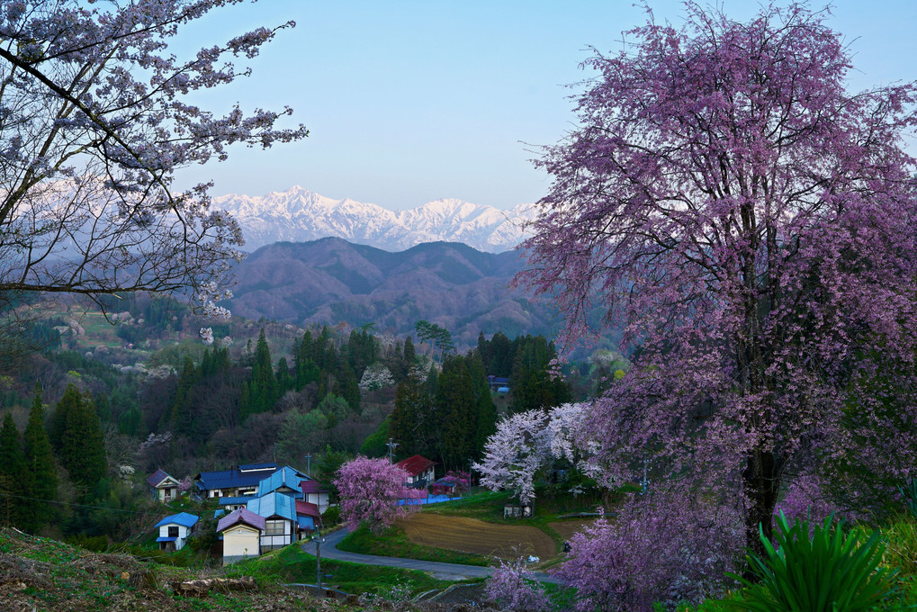 山里の春　～小川村の夜明け～