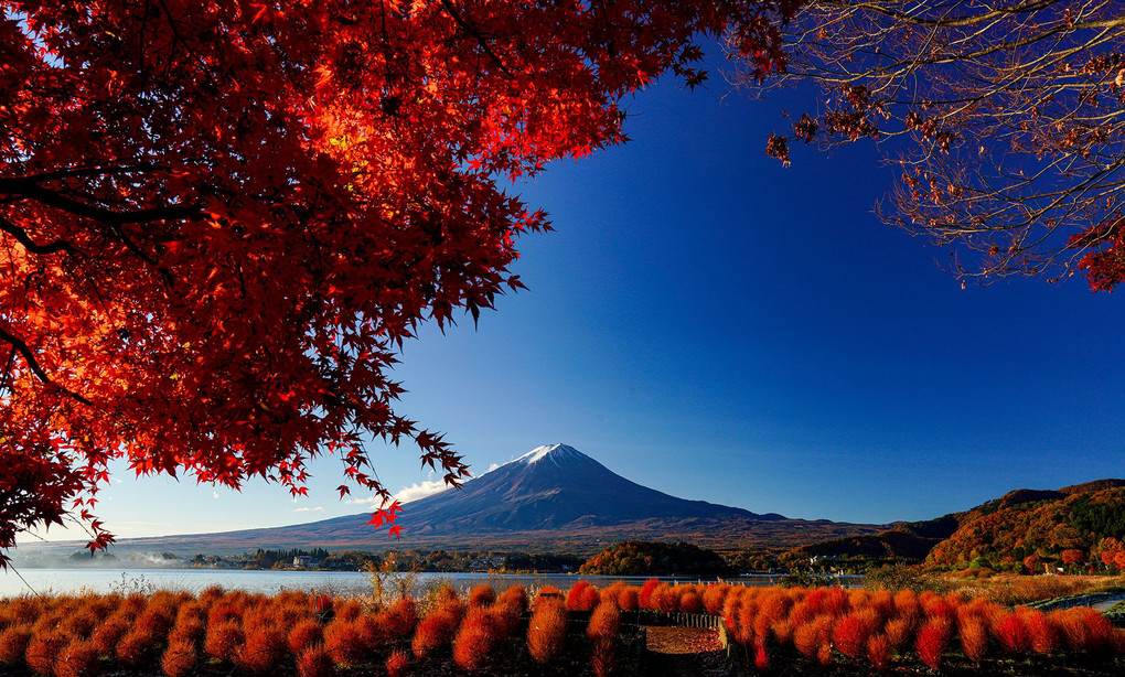 富士山！なんて美しいのでしょうか！