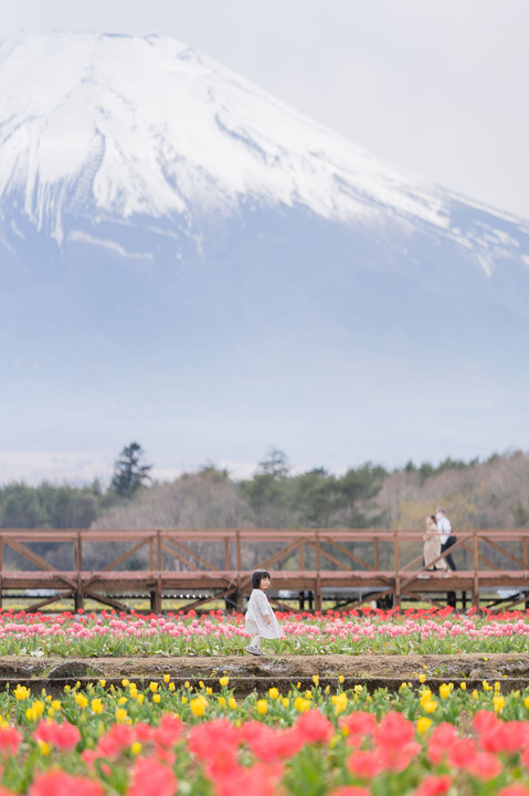 春ノ富士にて