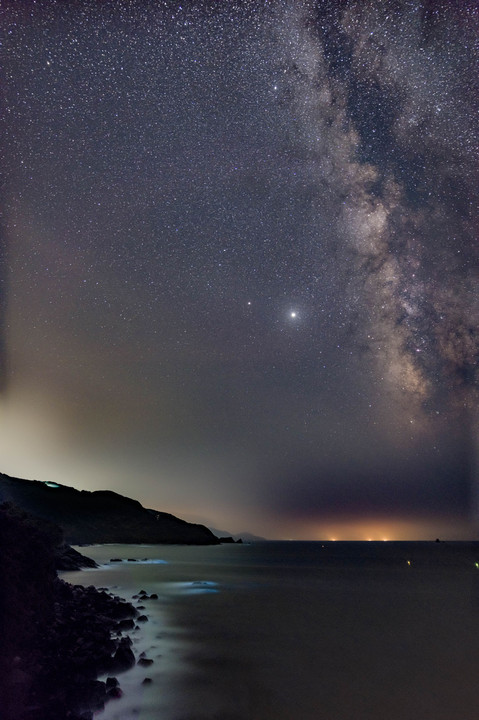 noctiluca looking up to the Milky Way