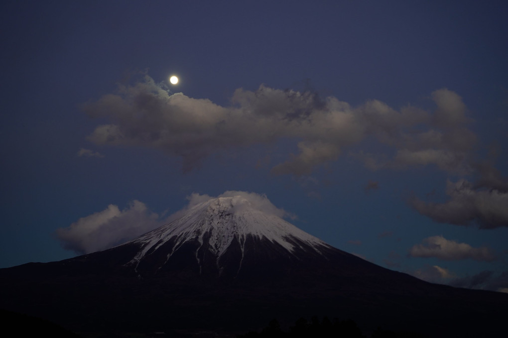 月下富士