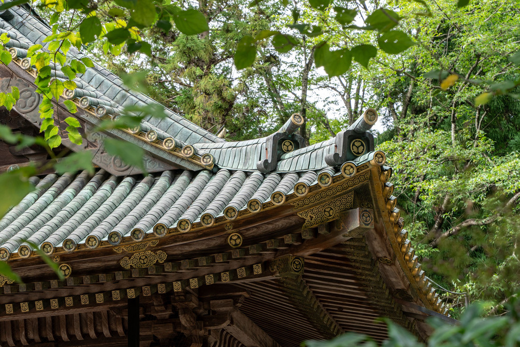 日本のちっちゃい丸と、屋根の曲線。