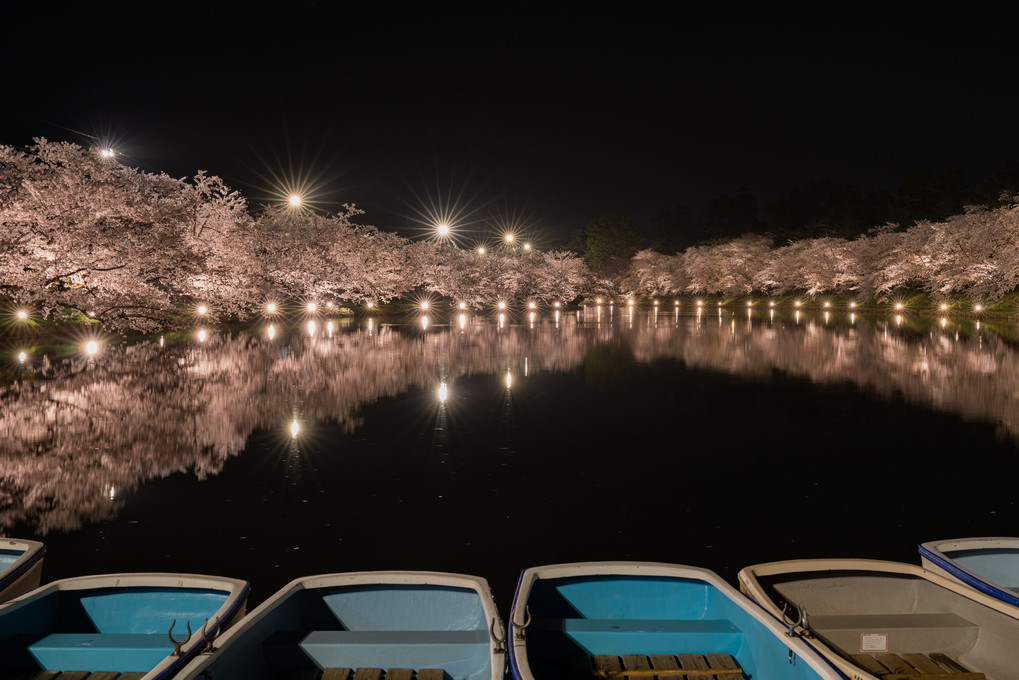 豪華絢爛夜桜ライトアップ１０