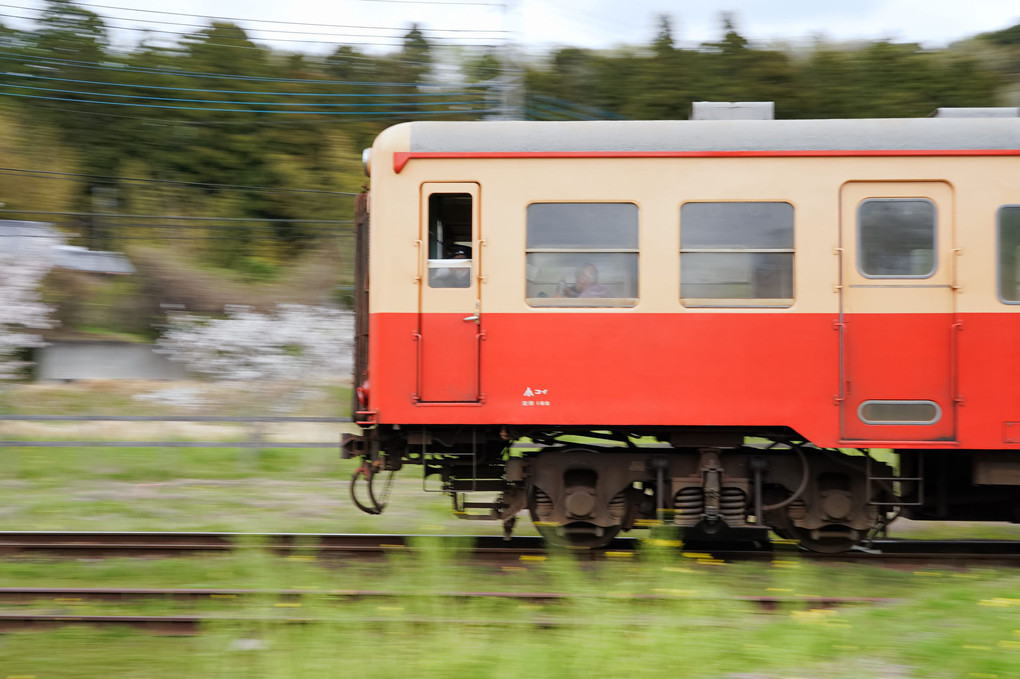 小湊鉄道を撮りに行ってきました