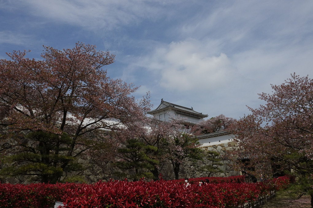 姫路城を歩く3