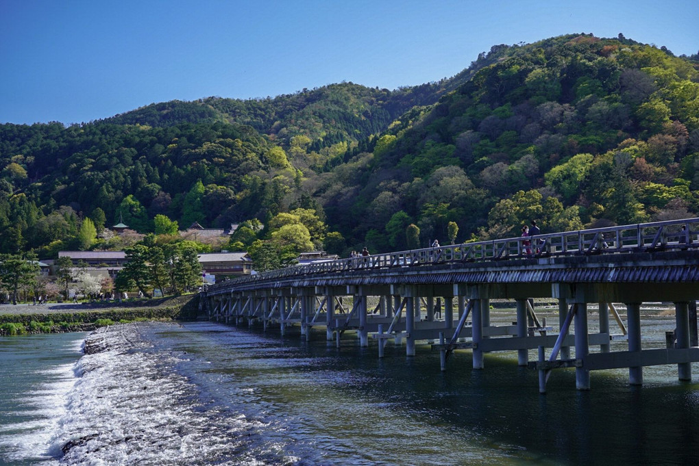 桜から新緑のシーズンへ／京都嵐山