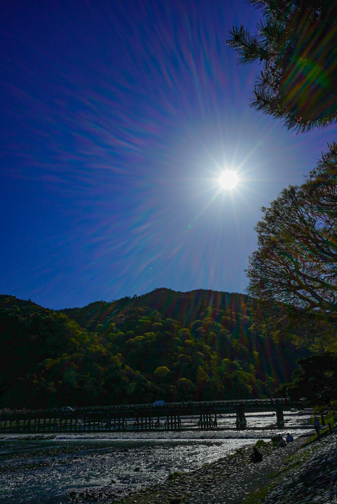 桜から新緑のシーズンへ／京都嵐山
