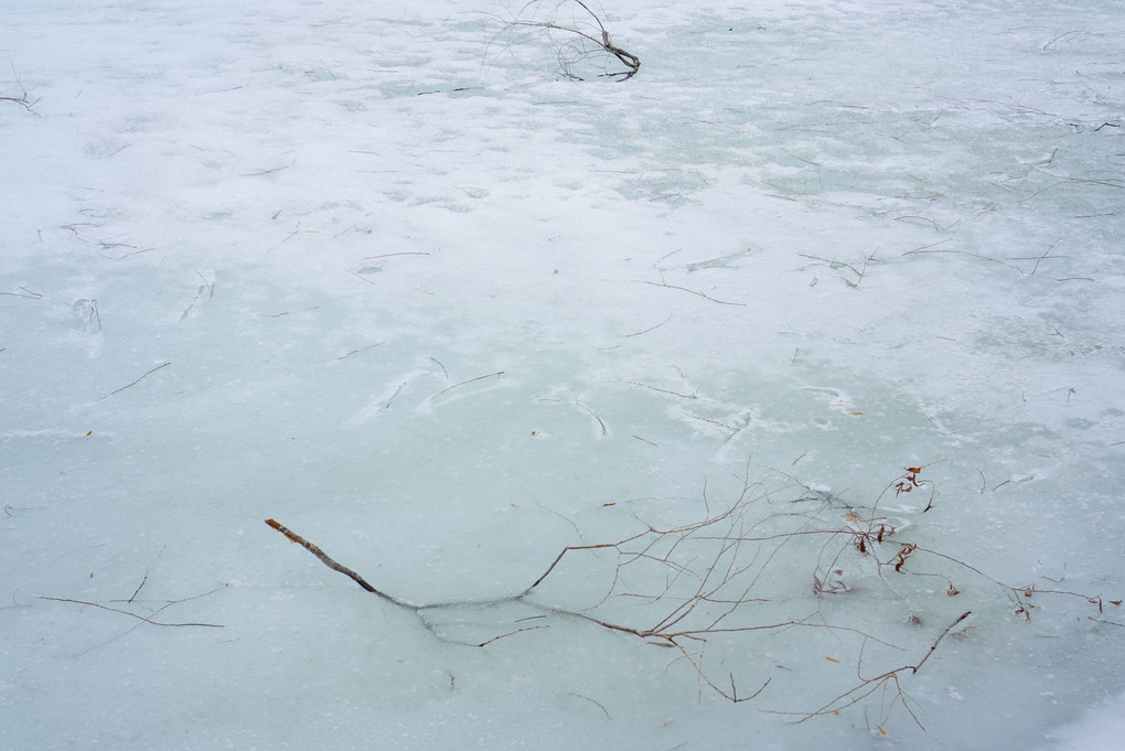池はまだ凍る。