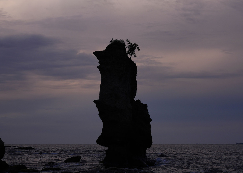 掛戸松島の夕景と #サギ#