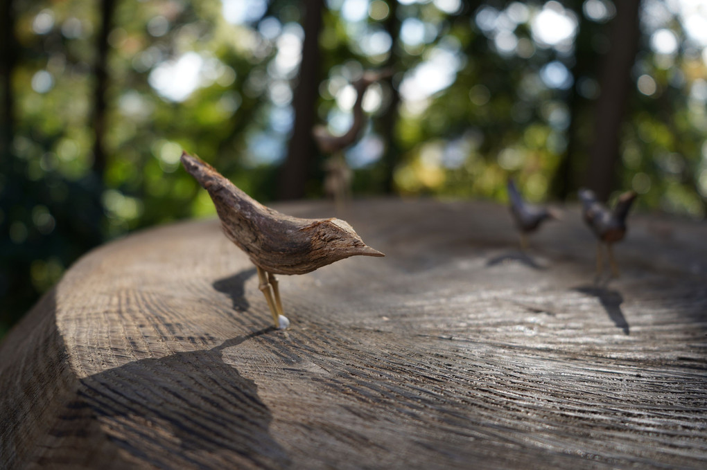 木の小鳥