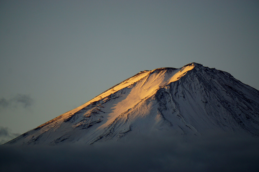 「日の出前後のコキア富士」