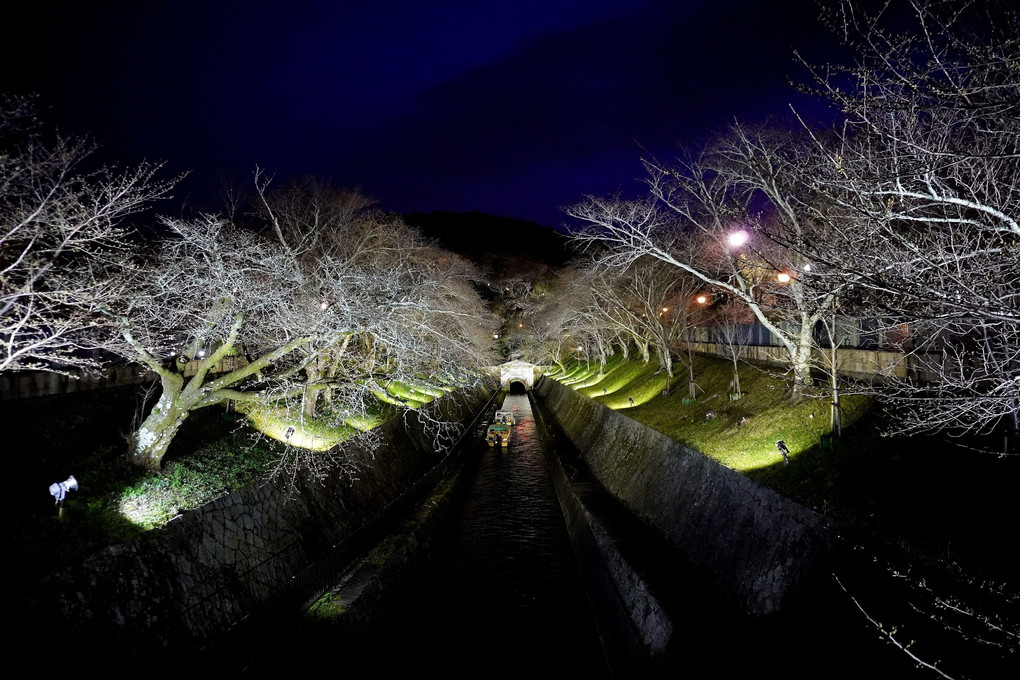 「琵琶湖疏水ライトアップ」