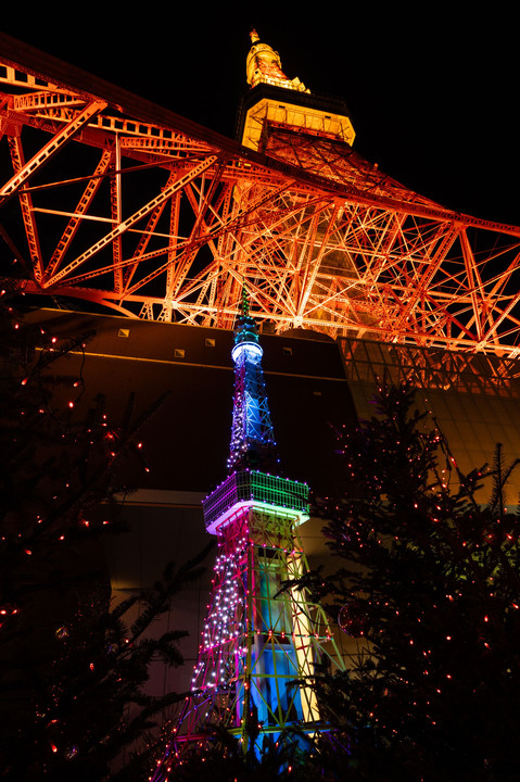 W Tokyo tower