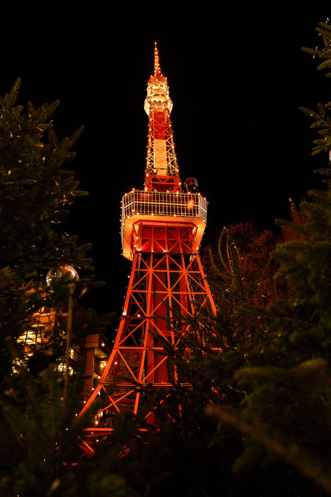 W Tokyo tower