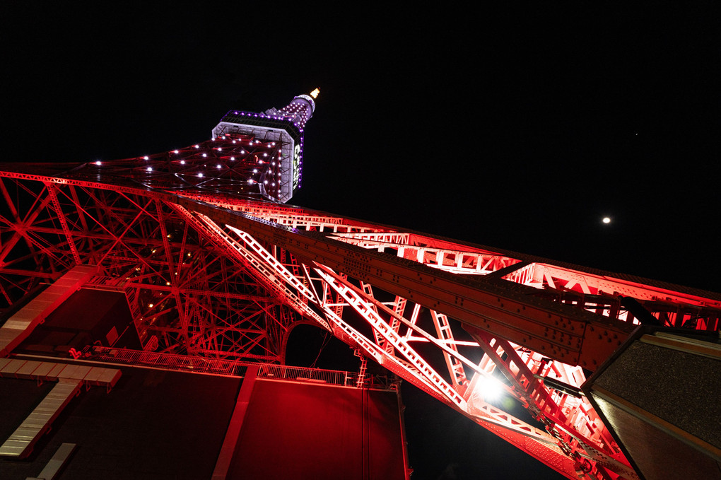 東京タワー　 祝65周年