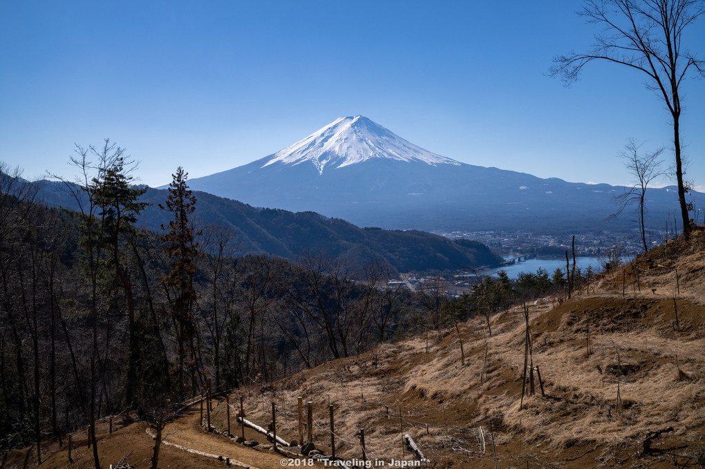 遥拝所からの富士