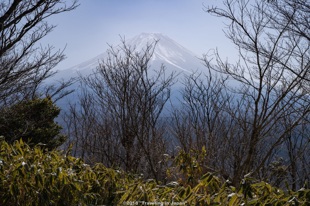 竜ケ岳からの富士
