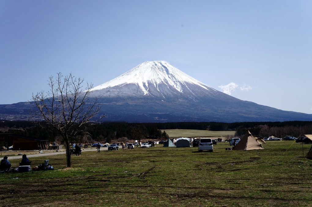 キャンプ場から眺める富士山