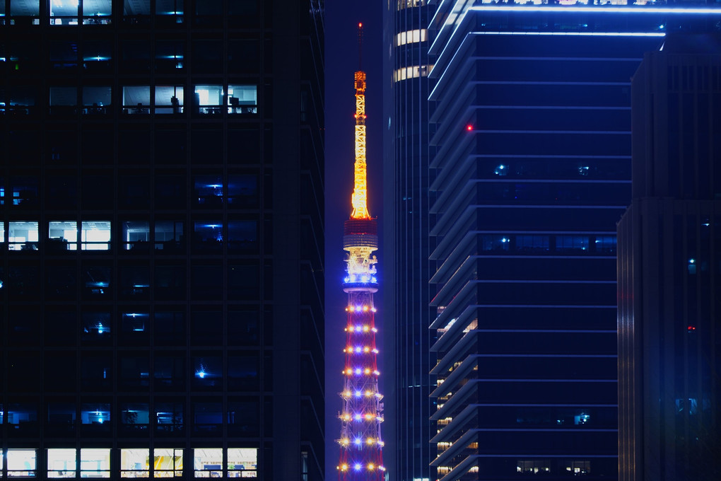 スカイロビーから見た東京タワー
