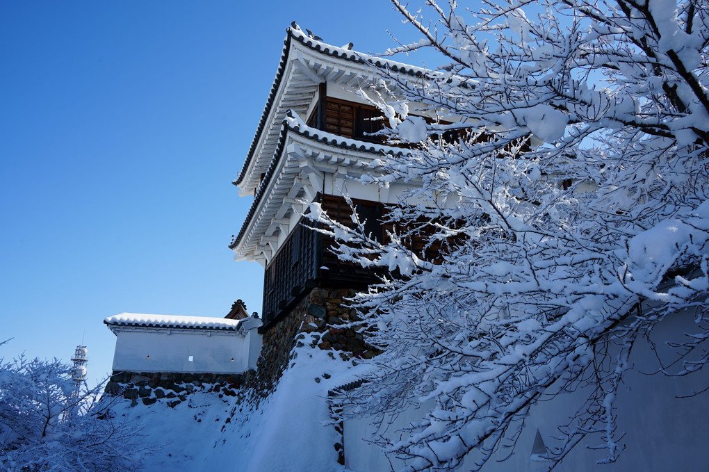 雪の福知山城