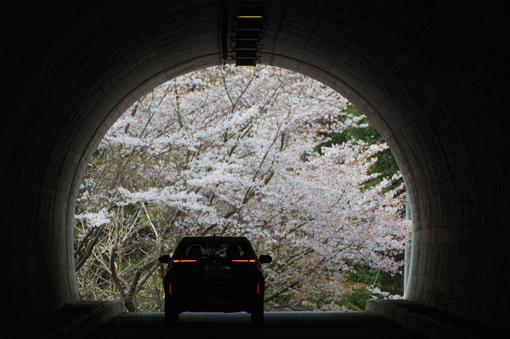 トンネルの向こうは春🌸