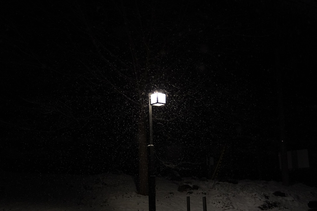 雪の日の街灯