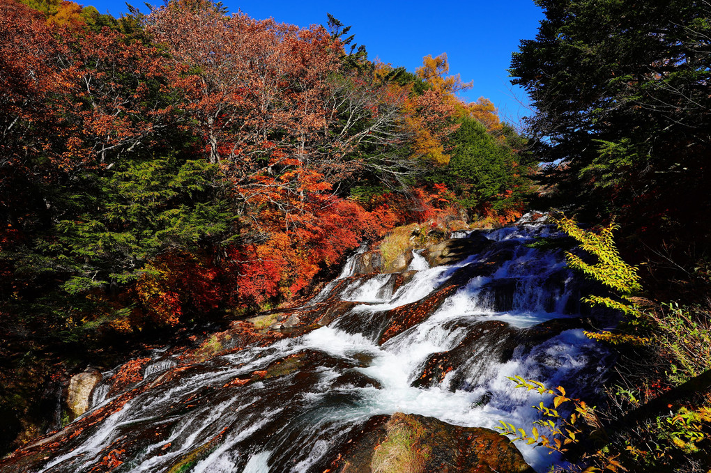 奥日光の滝と紅葉