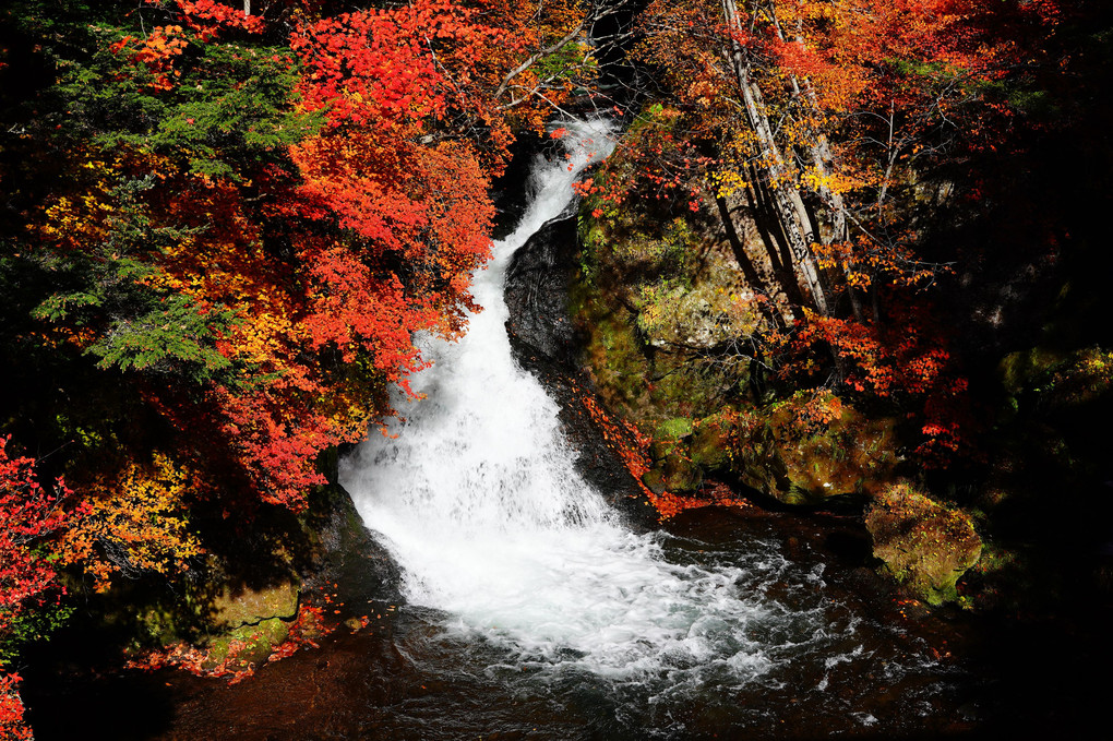 奥日光の滝と紅葉