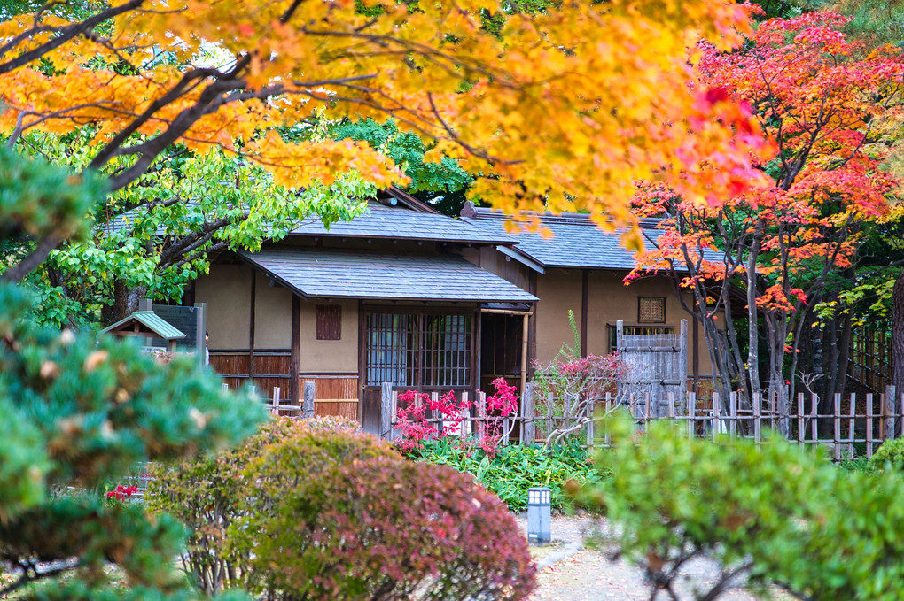 日本家屋と紅葉
