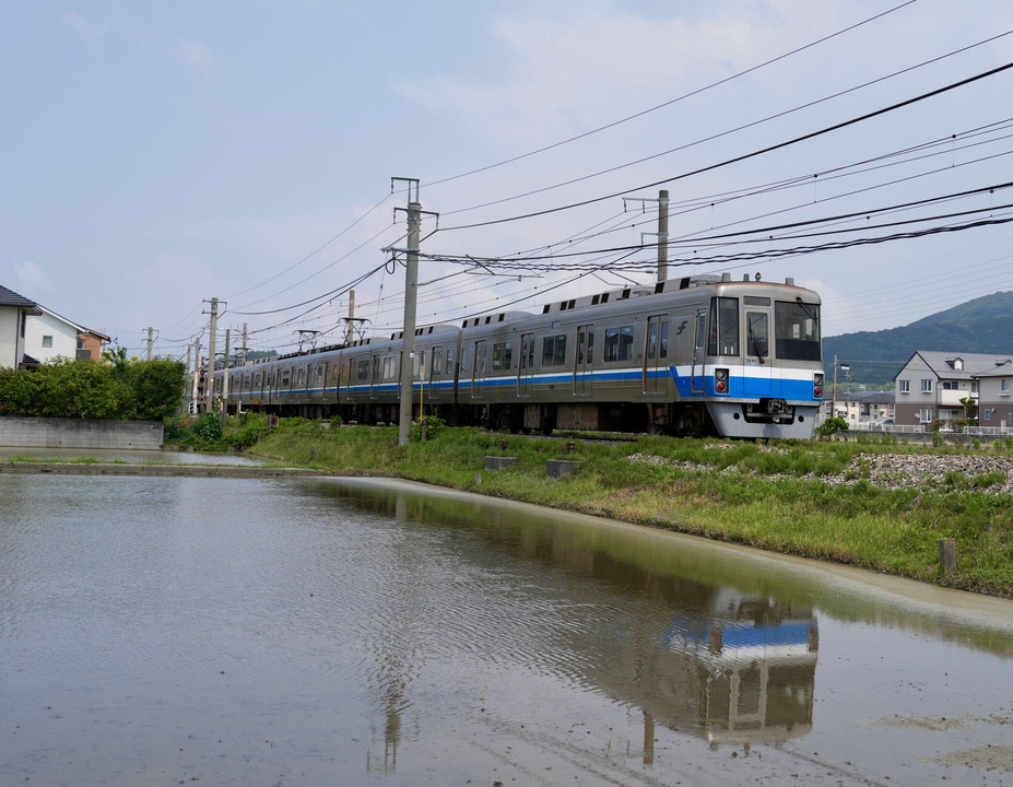 水田と電車