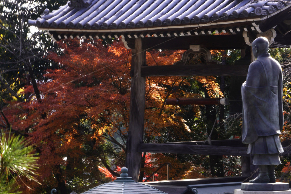 秋と言えばモミジ、モミジと言えば京都