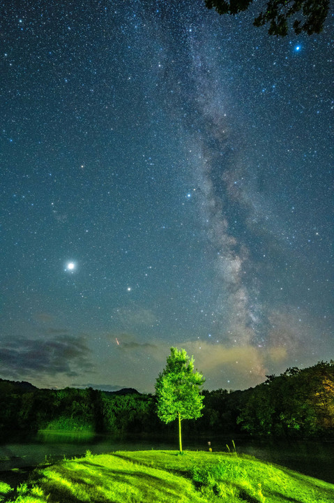 十和田湖の一本木と天の川、木星