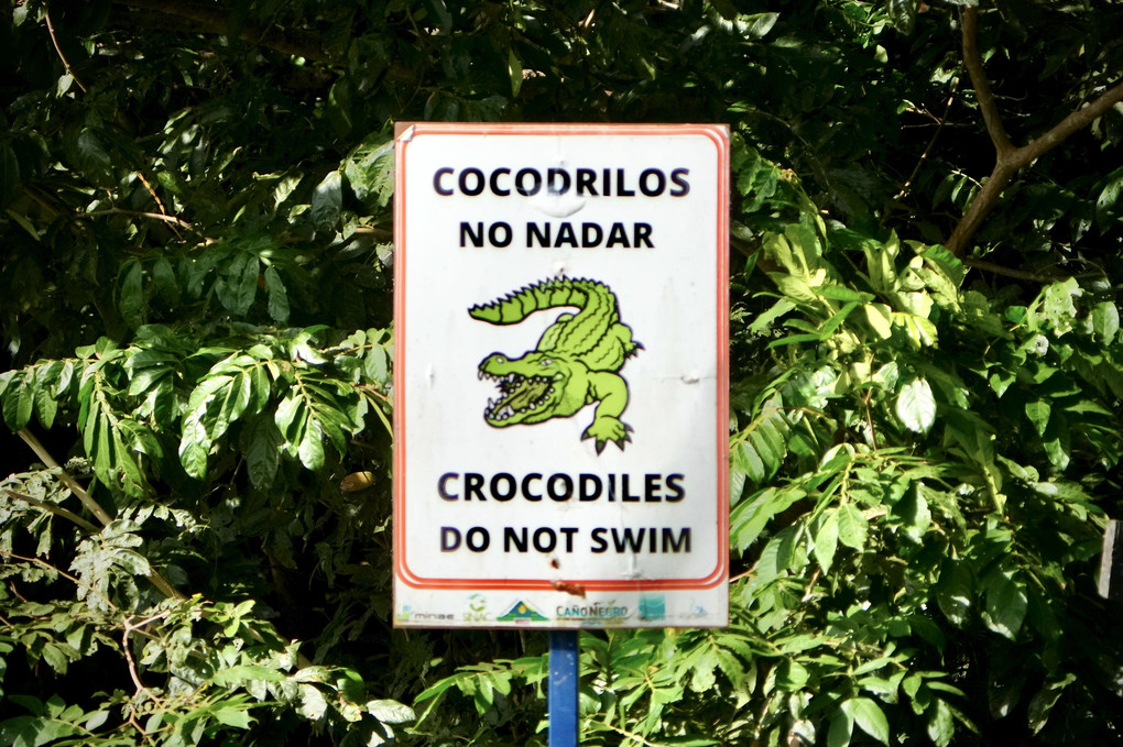 遊泳禁止！