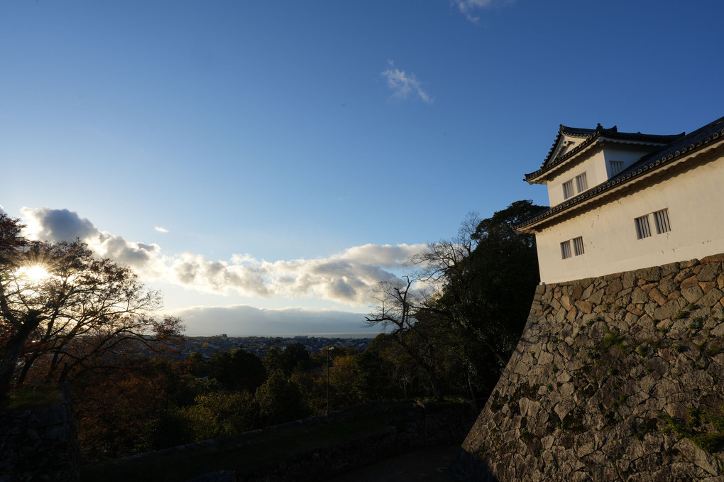 彦根城の秋