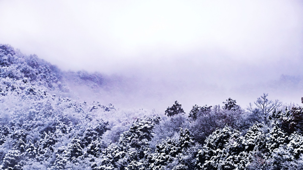 里山の初雪
