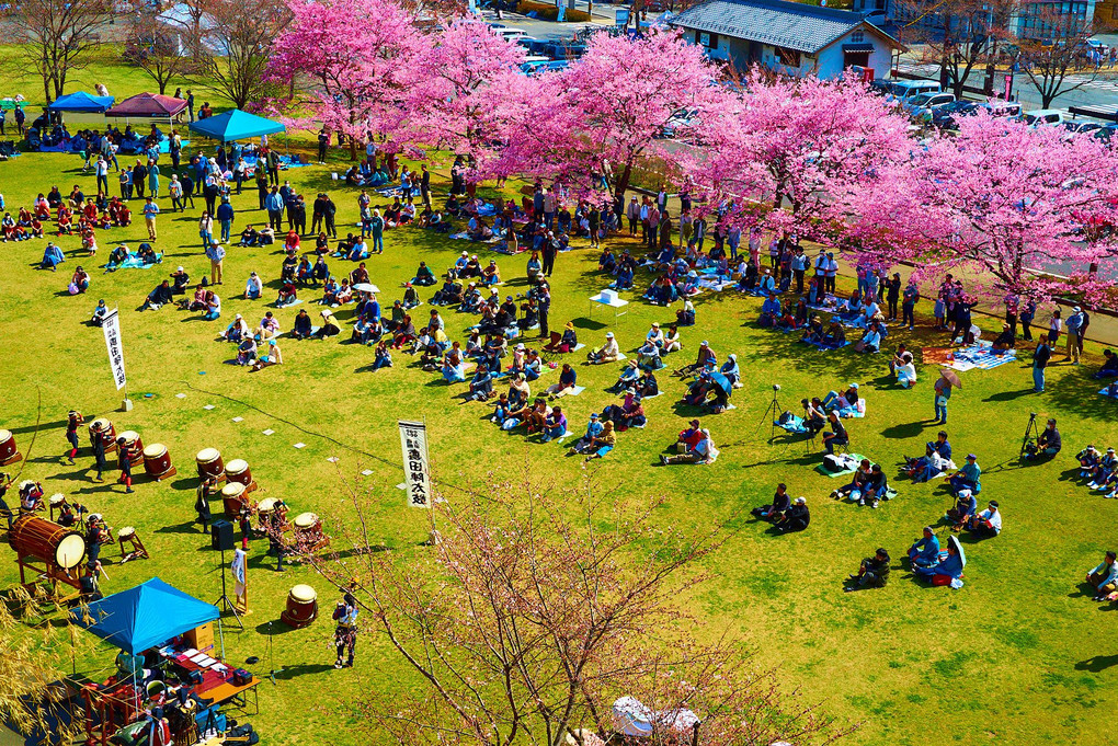 上田城址公園の祭り