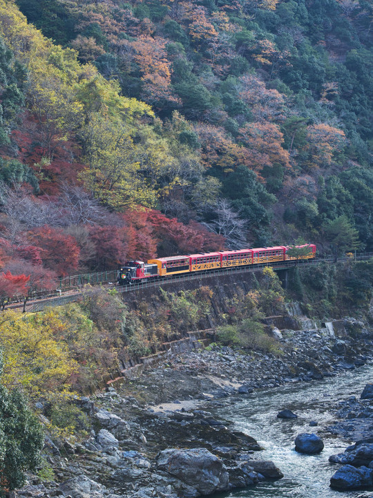嵯峨野観光鉄道と紅葉