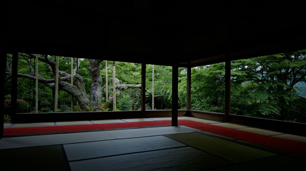 京都　大原　宝泉院