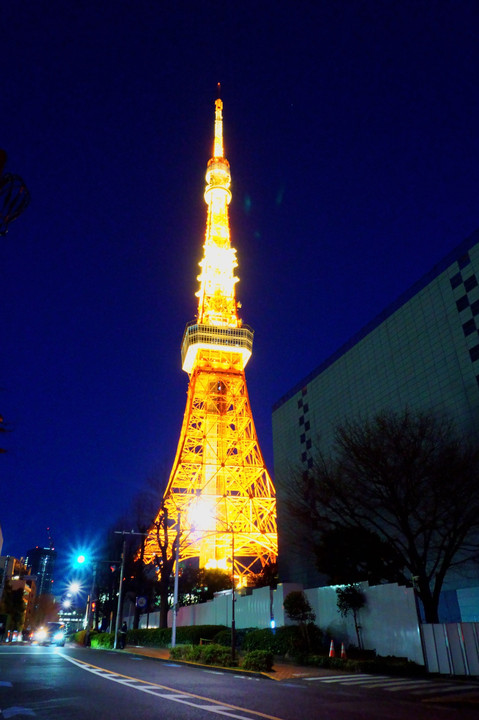 東京タワーの昼と夜