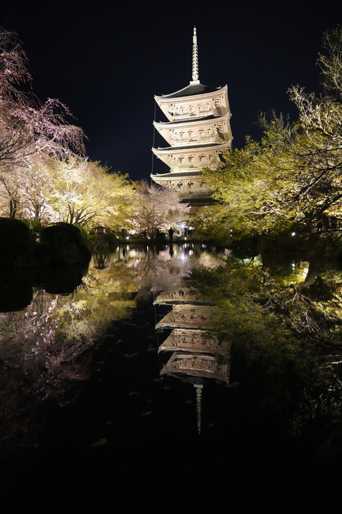 京都　東寺のライトアップ