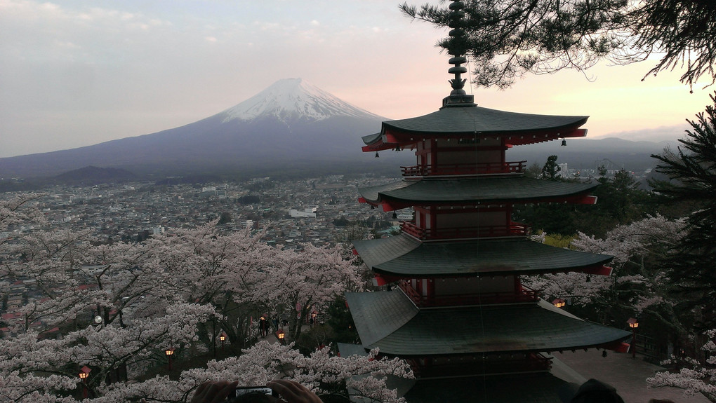 富士山と桜🌸