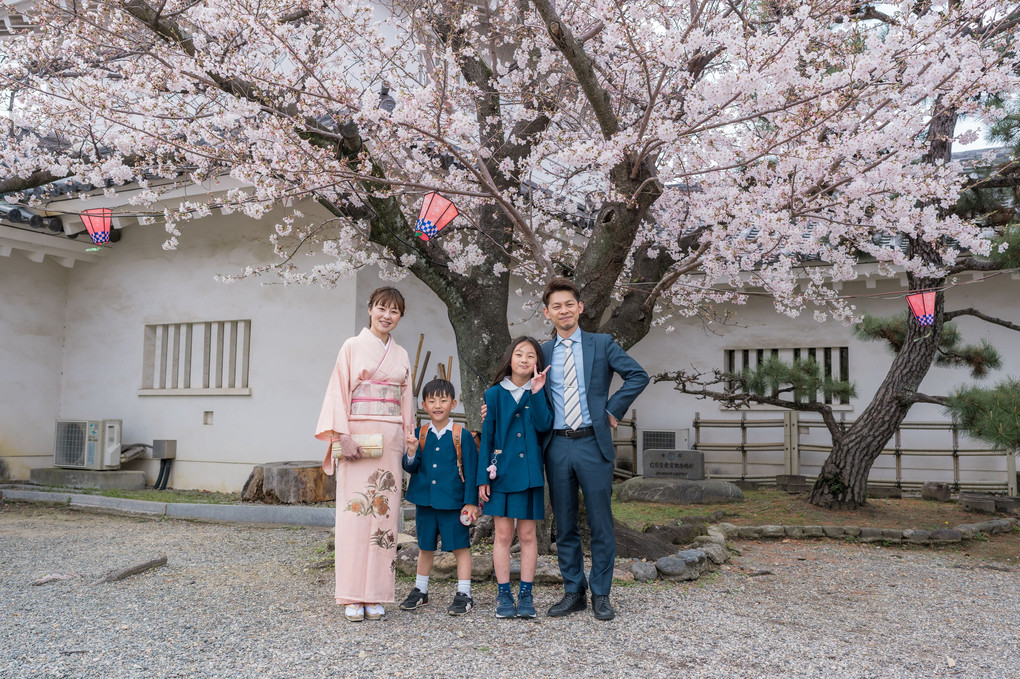 桜と家族写真📷
