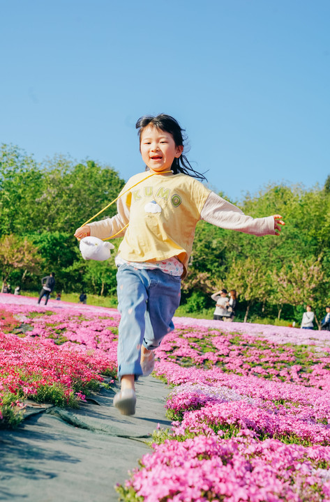 芝桜を駆ける少女