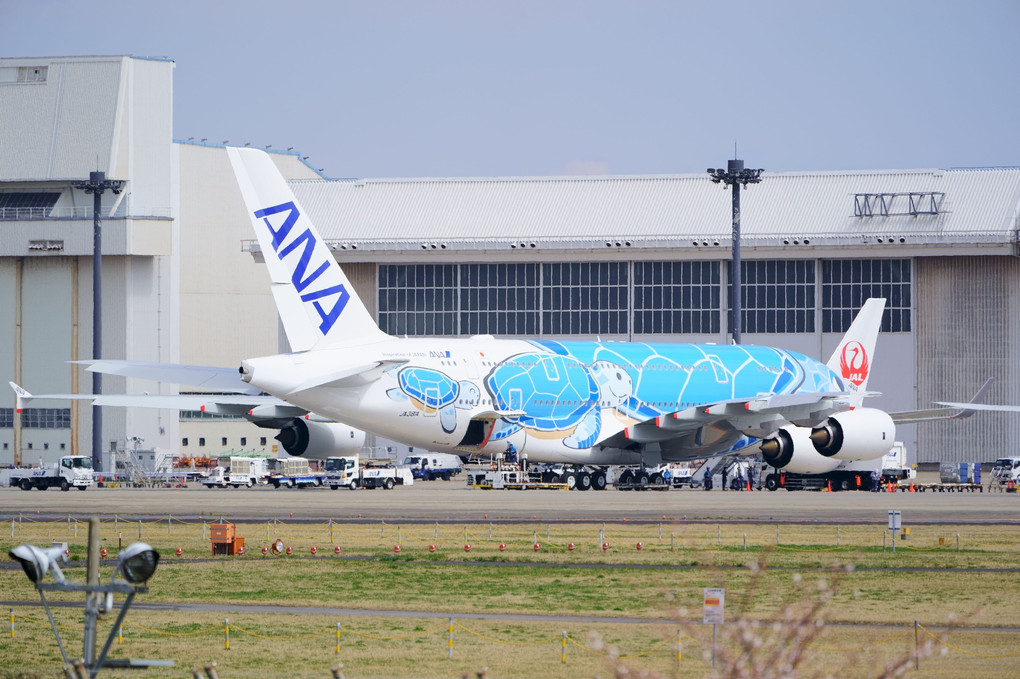 A380 フライング・ホヌ