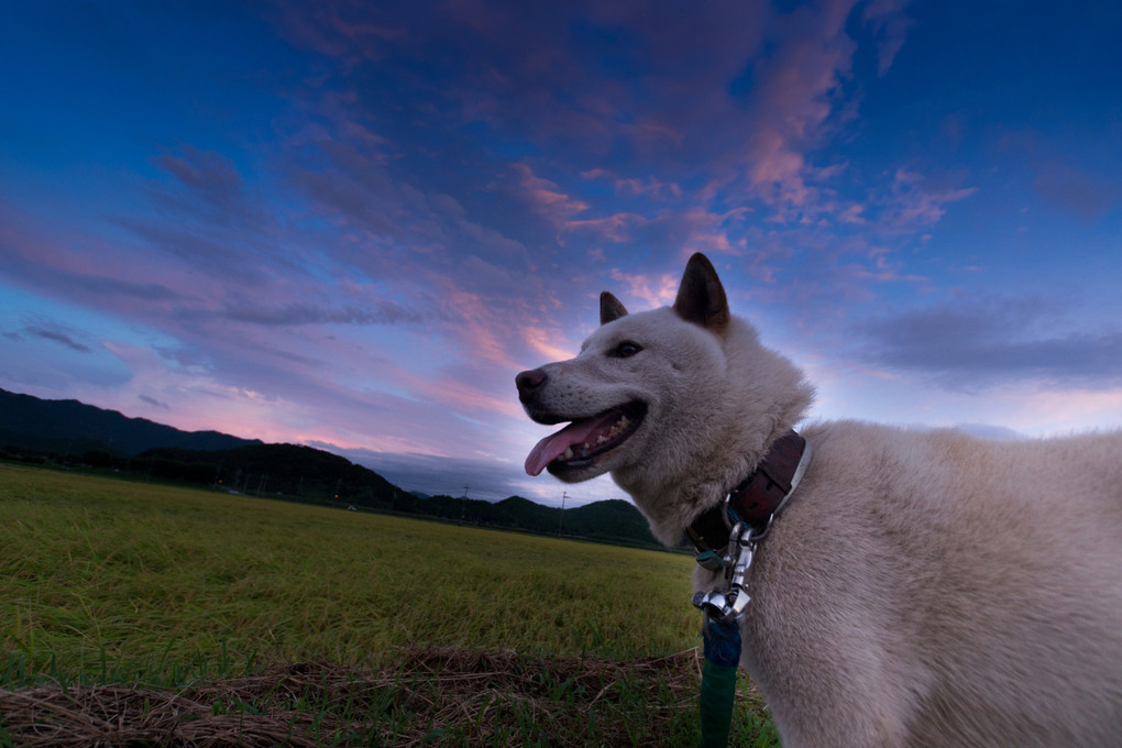 散歩空