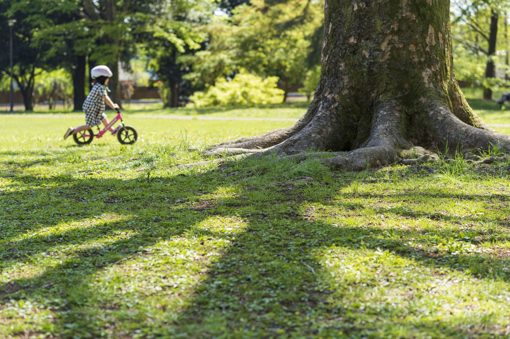 週末、快晴の公園にて