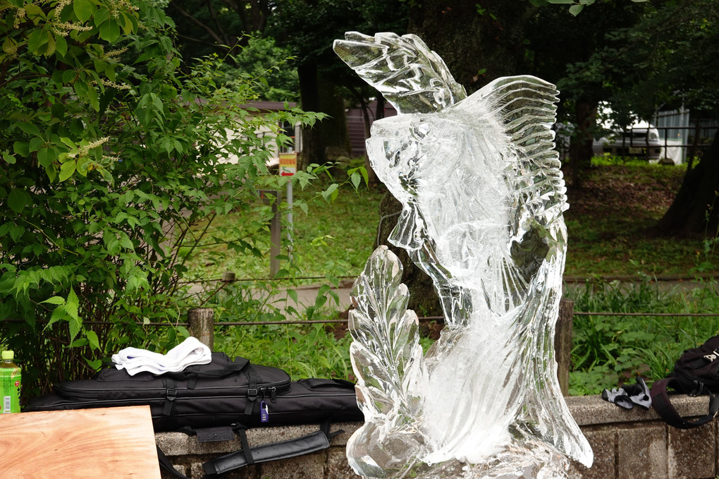 全国氷彫刻展夏季大会