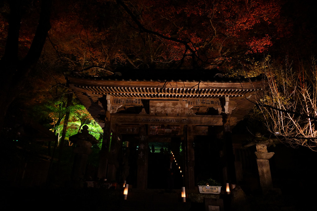 富貴寺のライトアップ５