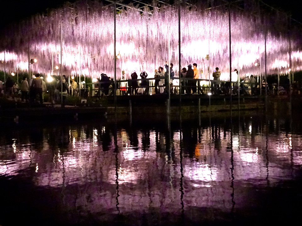 水面の映るピンクのカーテン